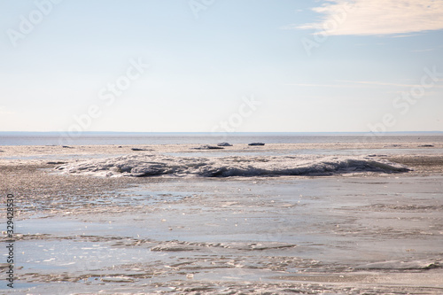 Panorama of the Gulf of Finland near St. Petersburg.