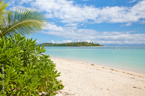 Fototapeta Naklejka Na Ścianę i Meble -  White sand beach and tropical trees. Deserted beach. Caramoan Islands, Philippines.