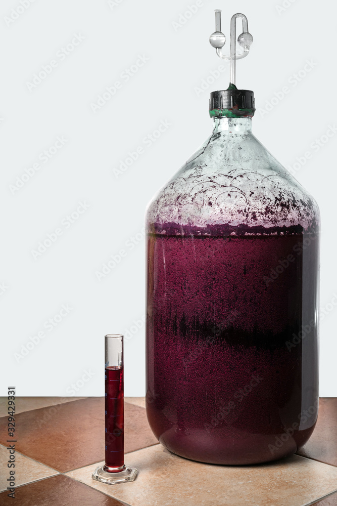 The process of making red homemade wine. A 20 liter glass bottle with a