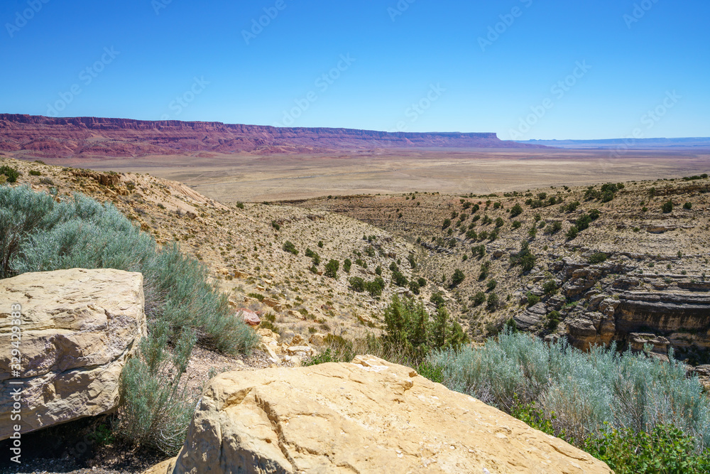 vermilion cliffs national monument in arizona, usa