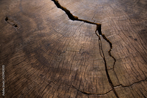 cracked wood texture