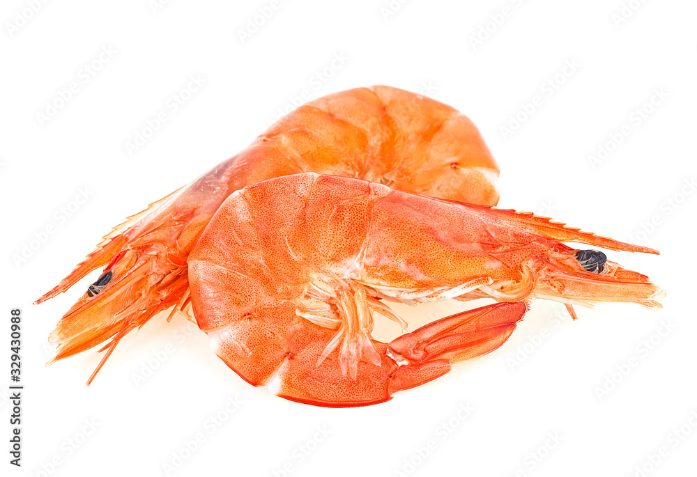 Two freshly cooked king prawns isolated on a white background Two freshly cooked king prawns isolated on a white background