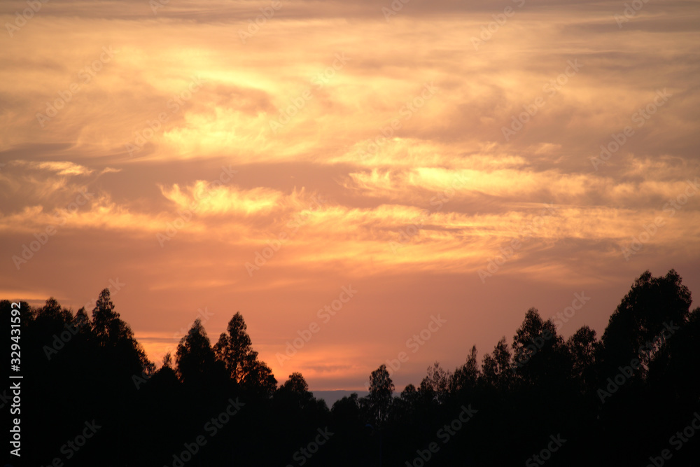 Orange sky full of swirling clouds and with black trees on the bottom. Orange sky full of swirling clouds and with black trees on the bottom.
