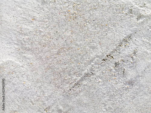 cement old texture floor wall background  
