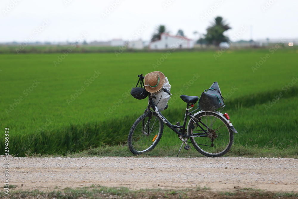 Fototapeta premium BICI EN EL DELTA