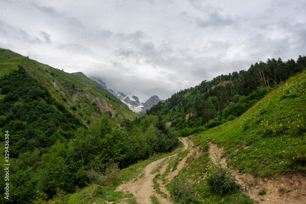 Mountain landscape with rocks and trees