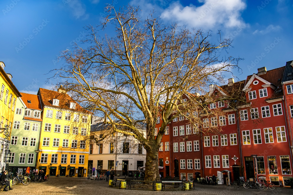 Fototapeta premium Old colorful buildings at the Grabrodretorv square in Copenhagen, Denmark. February 2020