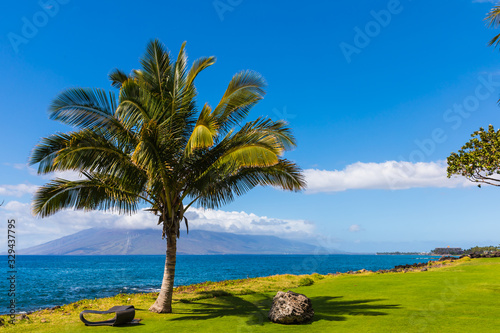 Beautiful palm tree and lawn near coastline in Wailea on Maui, Hawaii