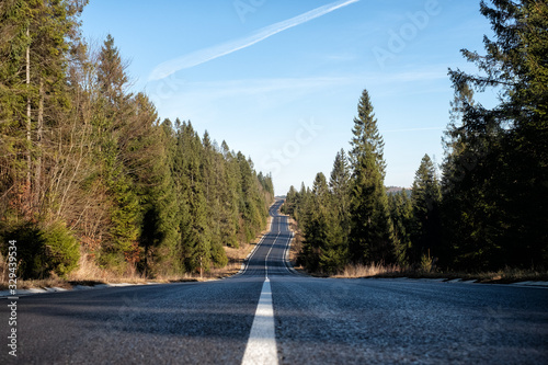 Road to travel between in forest