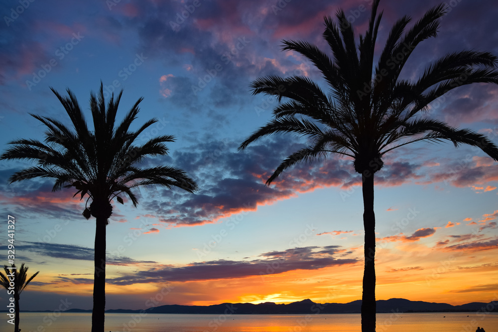 Beautiful sunset on the beach among palm trees, El Arenal, Balearic Islands, Majorca (Mallorca), Spain.