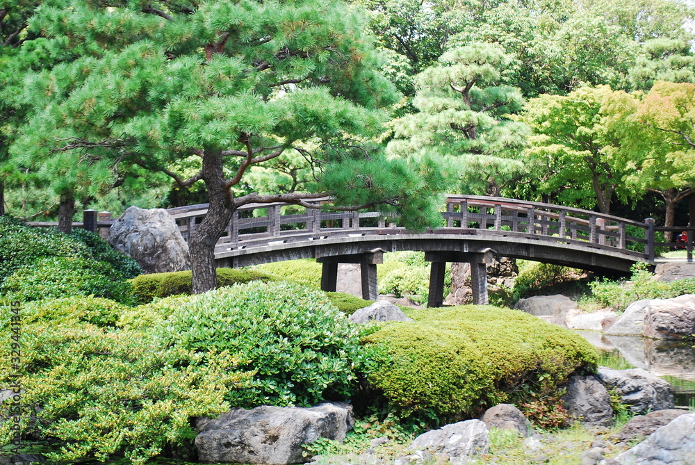日本庭園 日本庭園