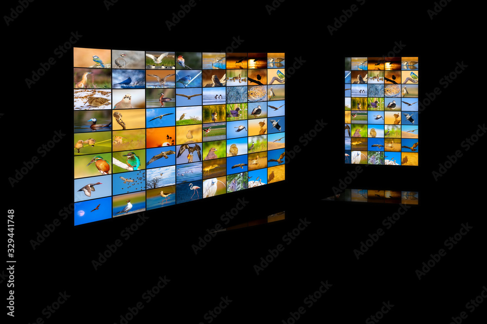 Television screen. Nature photos. Black background. Television screen. Nature photos. Black background.
