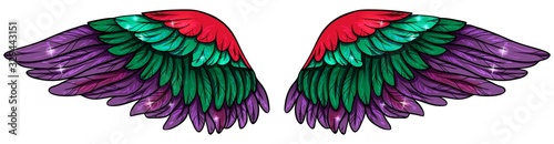 Beautiful bright glowing purple green red wings, vector