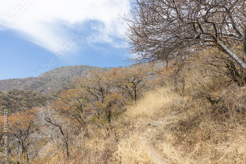 Hiking Trail in the San Juan Cosala Range in Central Mexico. © Phil