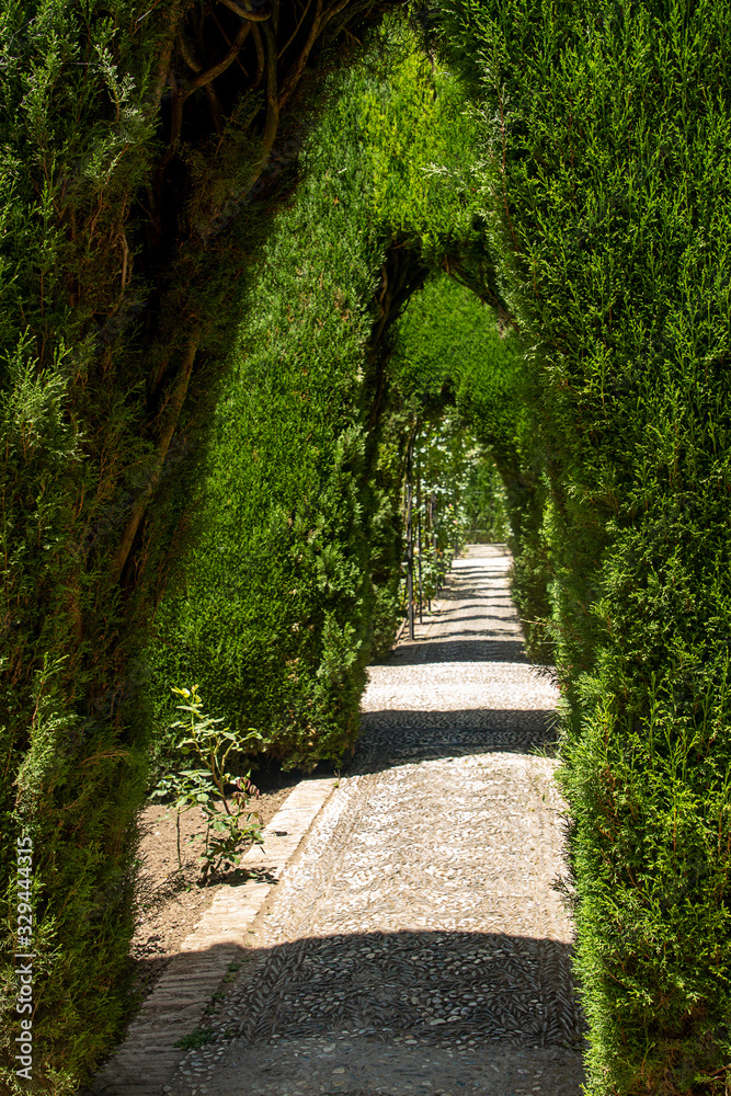 Alhambra and Generalife garden, Granada, Andalucia, Spain