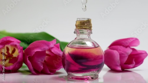 Perfumery. Drops falling from cosmetic pipette to glass bottle with perfume oil. Skin and body care. Pink oil essence flower product. Aroma liquids and beautiful tulips photo