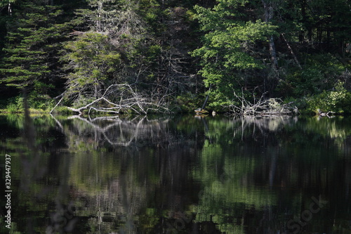 reflection 
