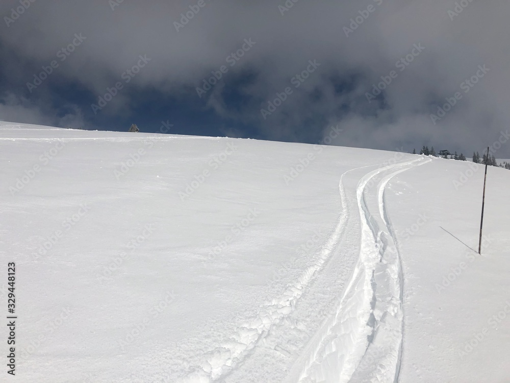 Traces de ski dans la neige fraiche Traces de ski dans la neige fraiche
