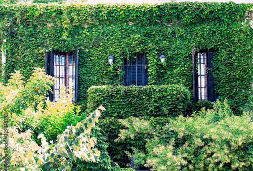 Frente de una casa de un barrio de Buenos Aires totalmente recubierta por una enredadera verde y mullida. 