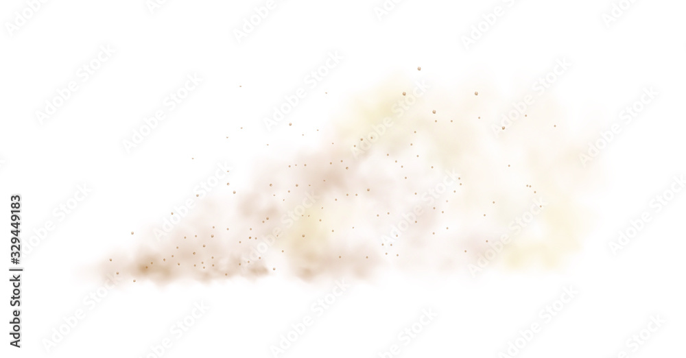 Dust cloud with particles with dirt,cigarette smoke, smog, soil and sand  particles. Realistic vector isolated on transparent background.