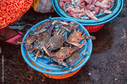 The famous Sassoon Docks Fish Market in Mumbai, India. Close up on a pile crabs on sale in a plastic basket. Selective focus, blurred background. photo