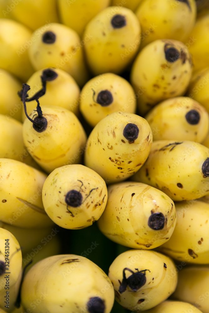 Close up of a bunch of ripe, yellow bananas Close up of a bunch of ripe, yellow bananas