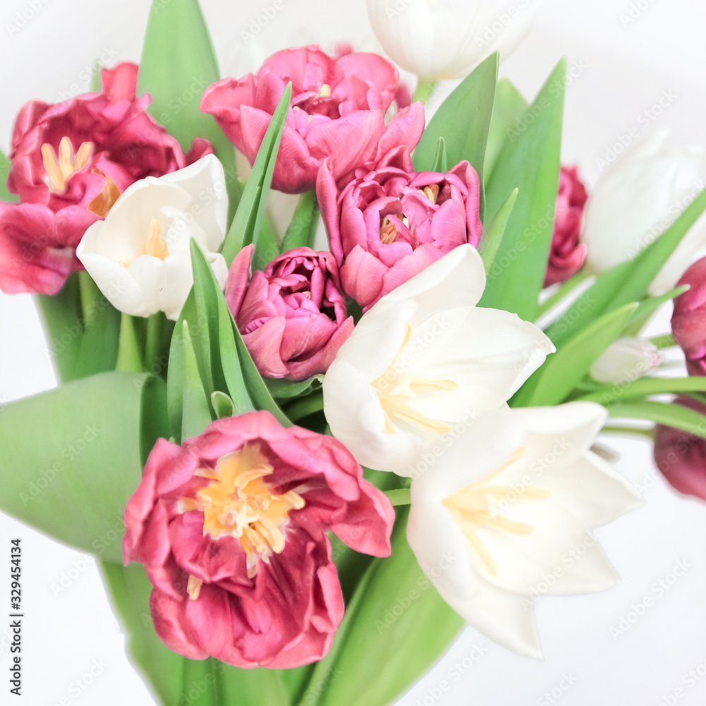 bouquet of tulips on white background bouquet of tulips on white background