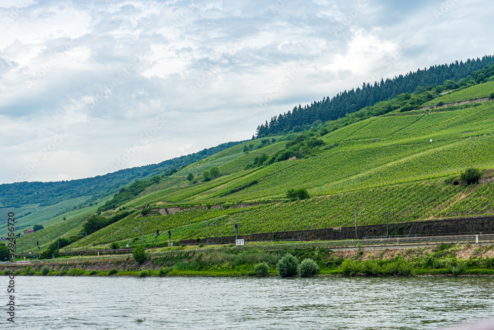 Germany, Rhine Romantic Cruise, a close up of a hillside next to a body of water