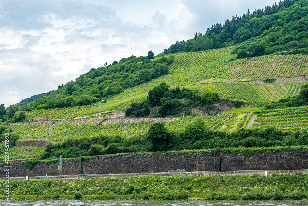 Germany, Rhine Romantic Cruise, a close up of a lush green field