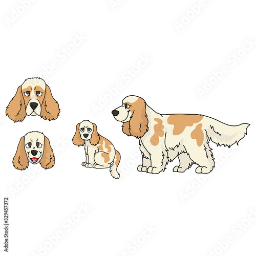 Cute cartoon cocker spaniel dog and puppy set breed vector clipart. Pedigree kennel doggie breed for dog lovers. Purebred domestic for pet parlor illustration mascot. Isolated canine hunting hound.