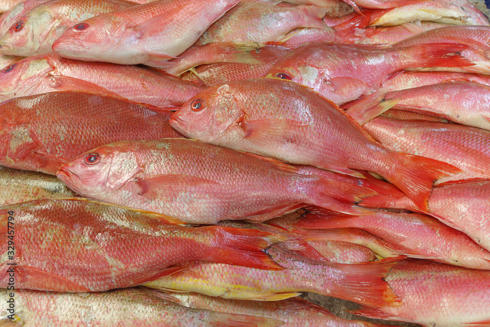 Rock fish for sale in Southern California. Sometimes sold as red snapper.