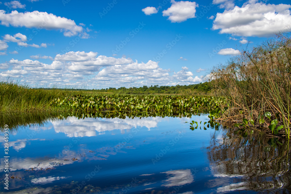 Pantanal de Marimbus in Chapada Diamantina, Brazil