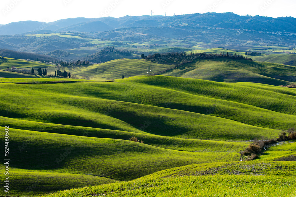 colline toscane colline toscane