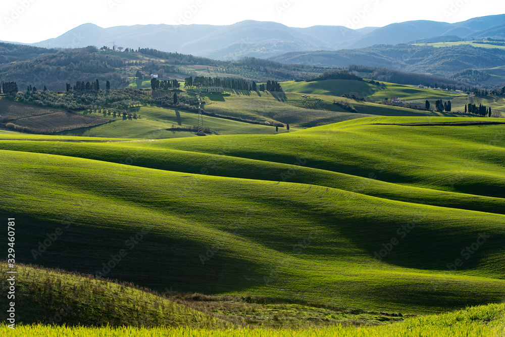 natura verde