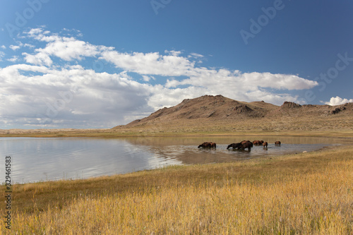 Bild auf Leinwand Cloudy view on steppe and lake. Mongolia