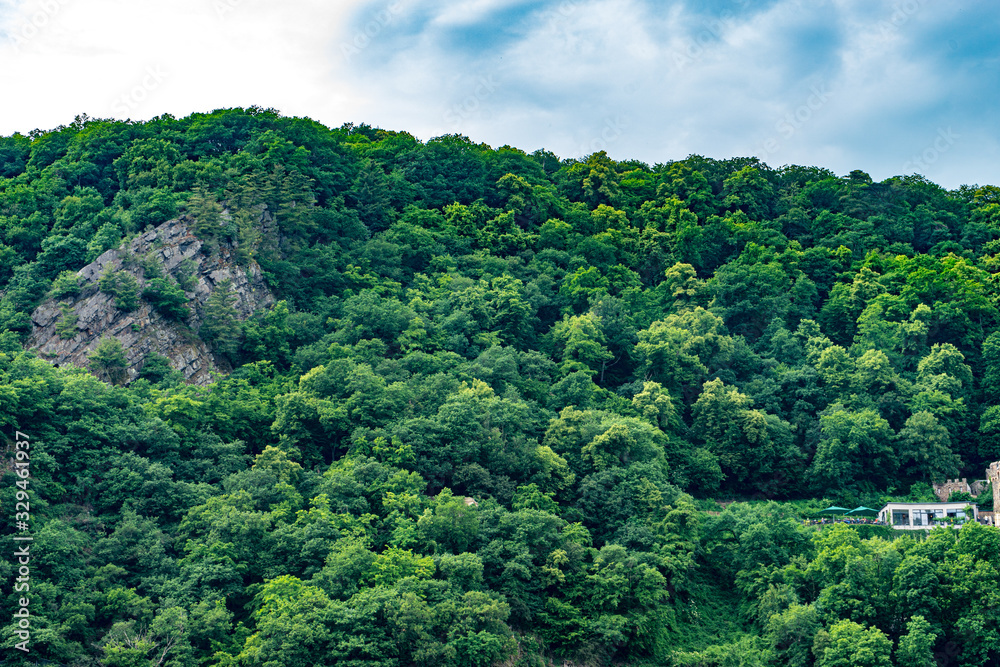 Germany, Rhine Romantic Cruise