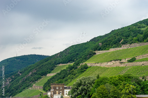 Germany  Rhine Romantic Cruise  a close up of a hillside next to a body of water