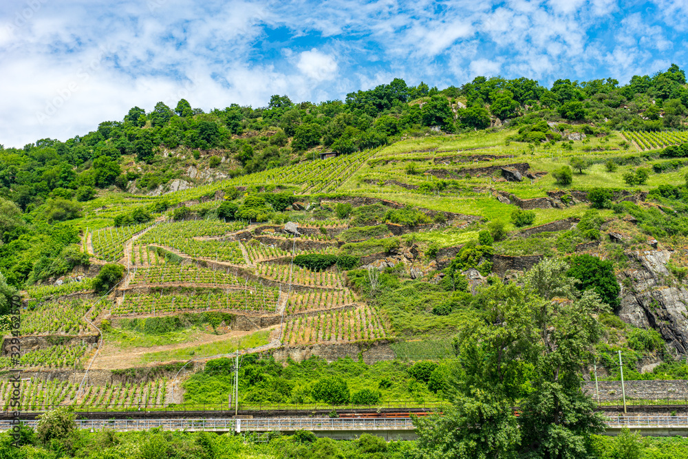 Germany, Rhine Romantic Cruise