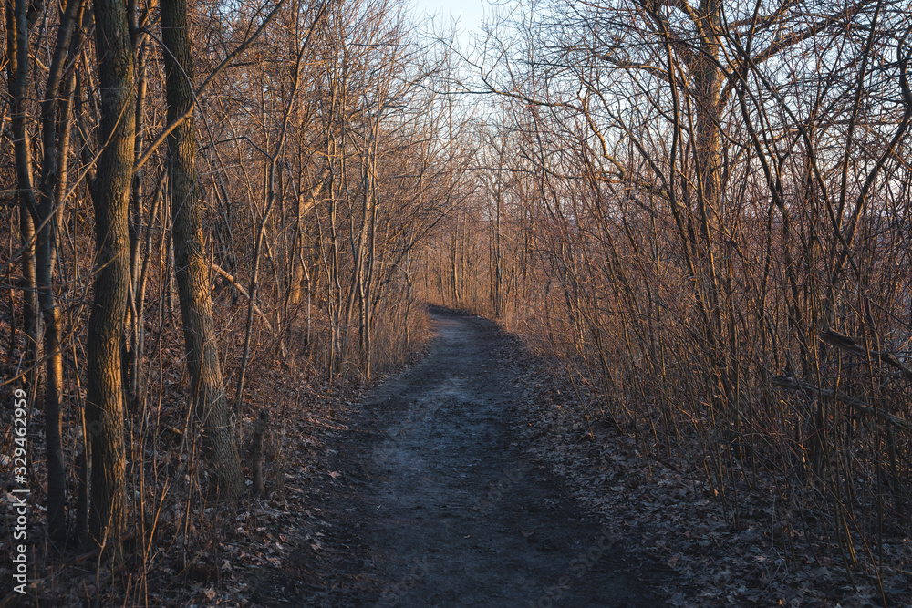 Beautiful Hiking Trail in Hamilton, Ontario during Sunset in the Winter with no leaves and barren landscape Beautiful Hiking Trail in Hamilton, Ontario during Sunset in the Winter with no leaves and barren landscape