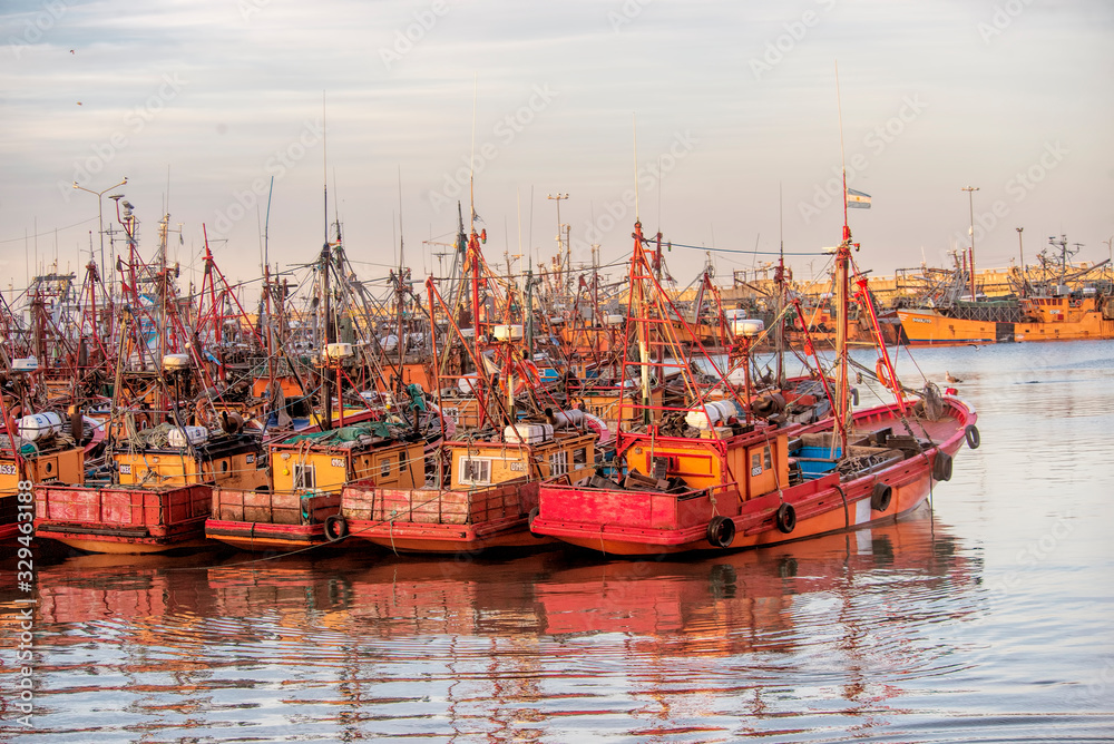 Fishing boats  in Mar del Plata harbour             