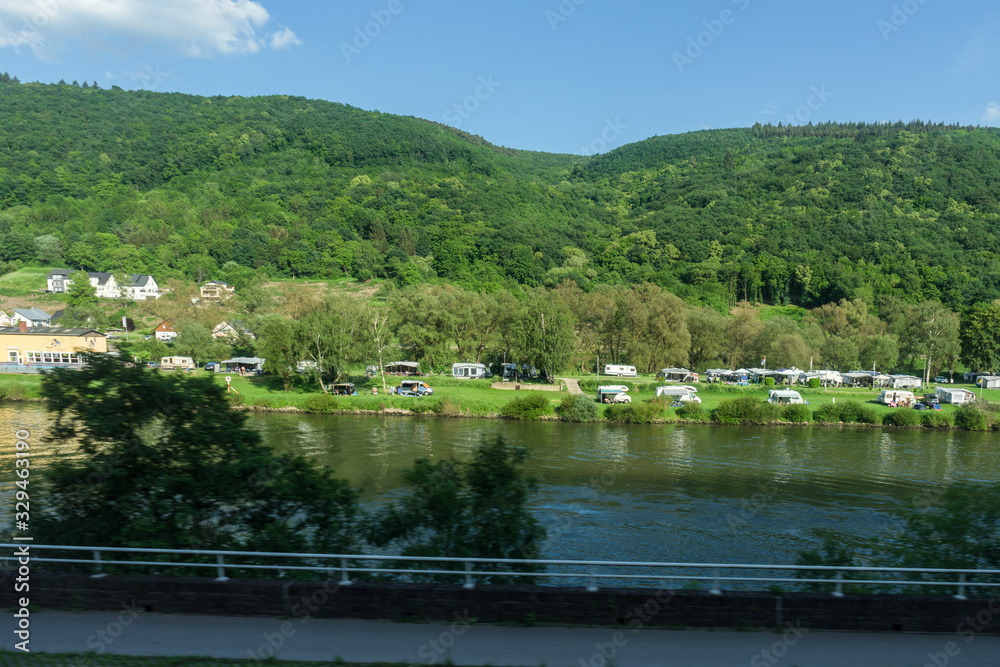 Germany, Hiking Frankfurt Outskirts, a herd of sheep grazing on green grass next to a body of water