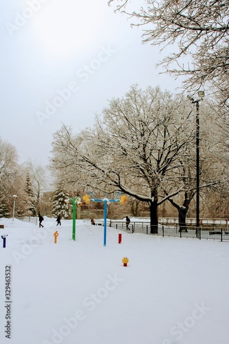 Hiver en el parque