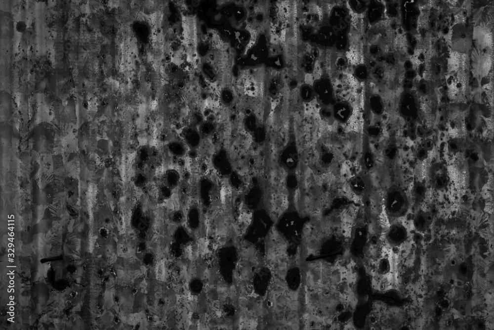 Fototapeta premium Black and white zinc wall background and texture