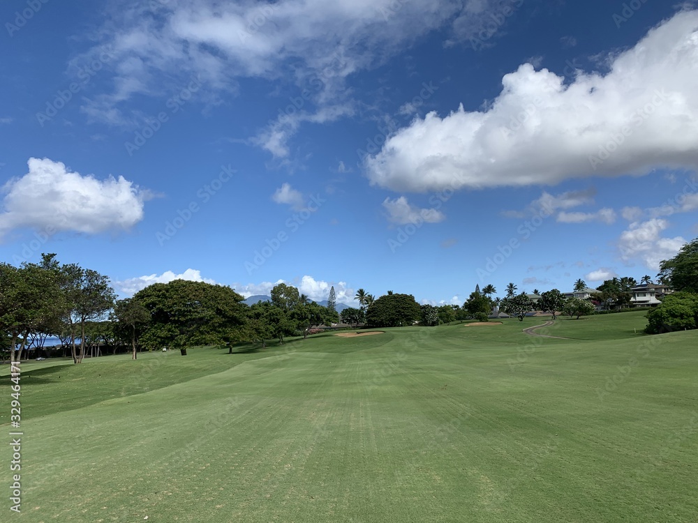 Paradise Golf in Wailea, Maui
