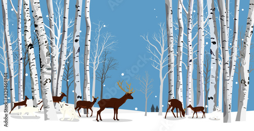 animals in the birch forest