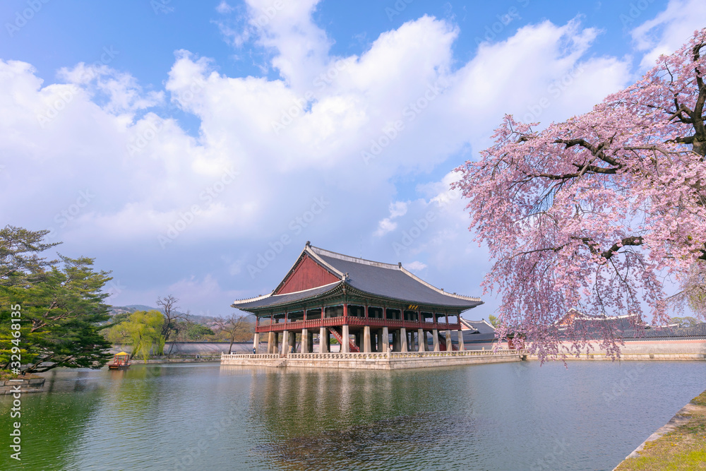 Obraz premium Gyeongbokgung Palace with cherry blossom in spring,Seoul,South Korea.