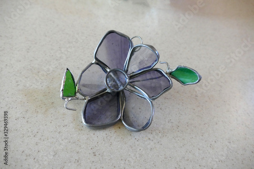 This soft lilac flower is a signal of spring. 