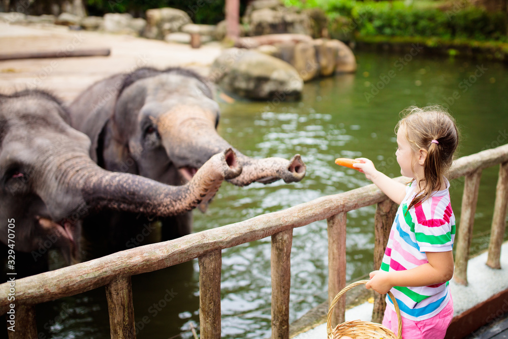 Kids feed elephant in zoo. Family at animal park. Stock Photo Adobe Stock