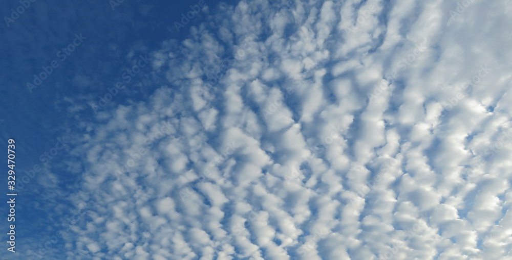 Cumulus clouds in the sky as a background 