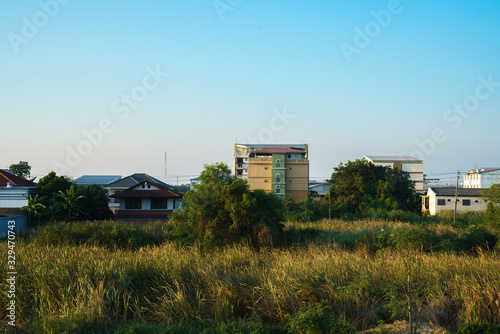 The scene in front of the grassland in the background of the city at sunset